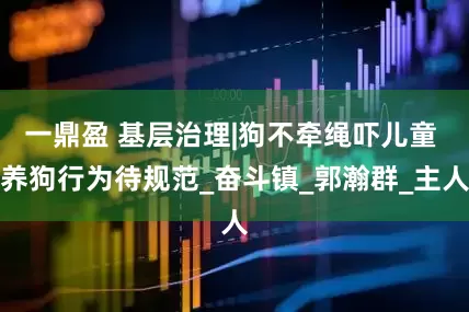 一鼎盈 基层治理|狗不牵绳吓儿童 养狗行为待规范_奋斗镇_郭瀚群_主人