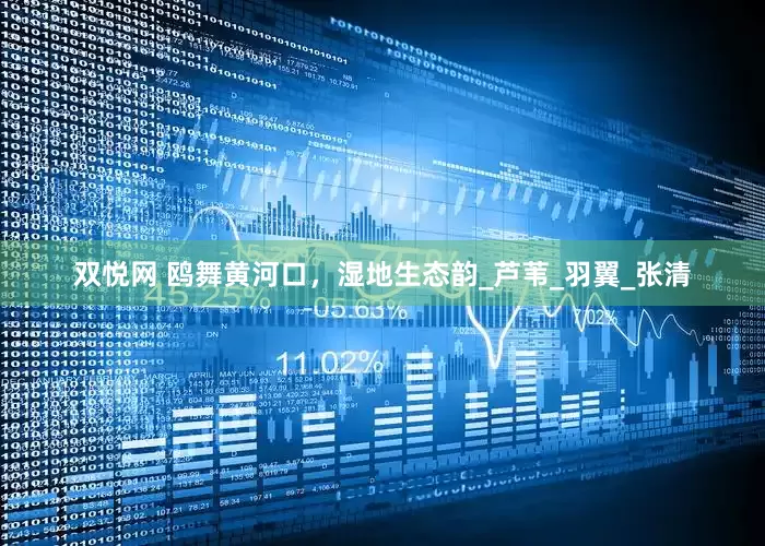 双悦网 鸥舞黄河口，湿地生态韵_芦苇_羽翼_张清