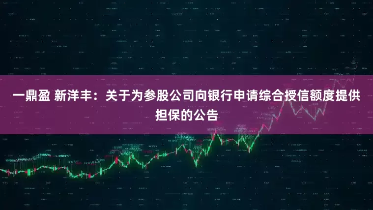 一鼎盈 新洋丰：关于为参股公司向银行申请综合授信额度提供担保的公告