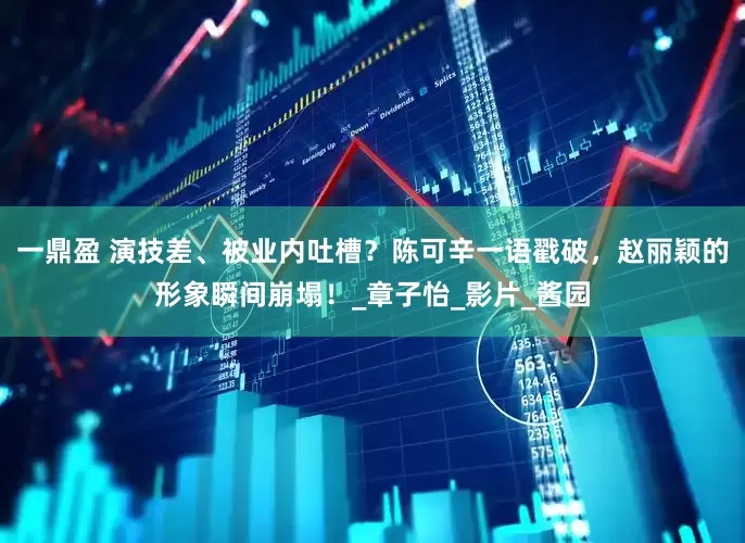 一鼎盈 演技差、被业内吐槽？陈可辛一语戳破，赵丽颖的形象瞬间崩塌！_章子怡_影片_酱园