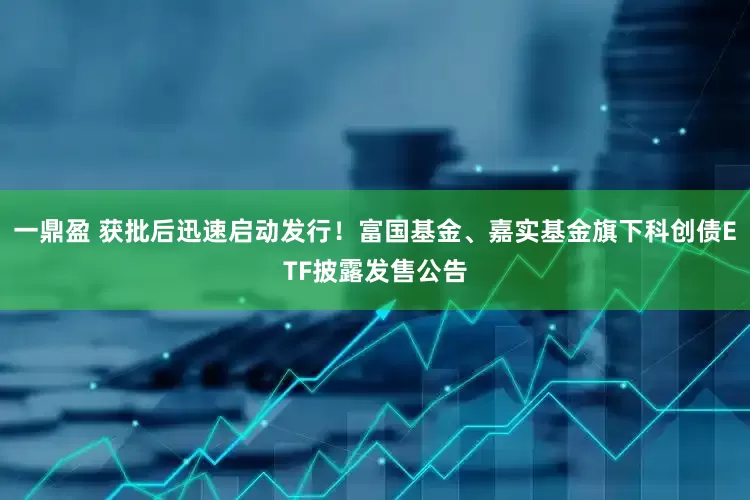 一鼎盈 获批后迅速启动发行！富国基金、嘉实基金旗下科创债ETF披露发售公告