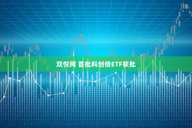 双悦网 首批科创债ETF获批