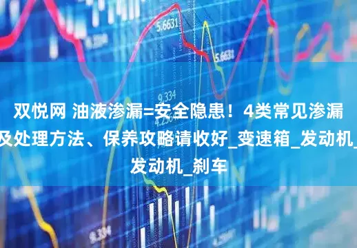 双悦网 油液渗漏=安全隐患！4类常见渗漏原因及处理方法、保养攻略请收好_变速箱_发动机_刹车